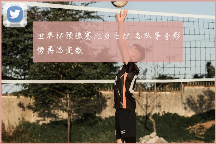 世界杯预选赛比分出炉 各队争夺形势再添变数