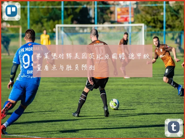 弗莱堡对阵美因茨比分前瞻 德甲较量看点与胜负预测