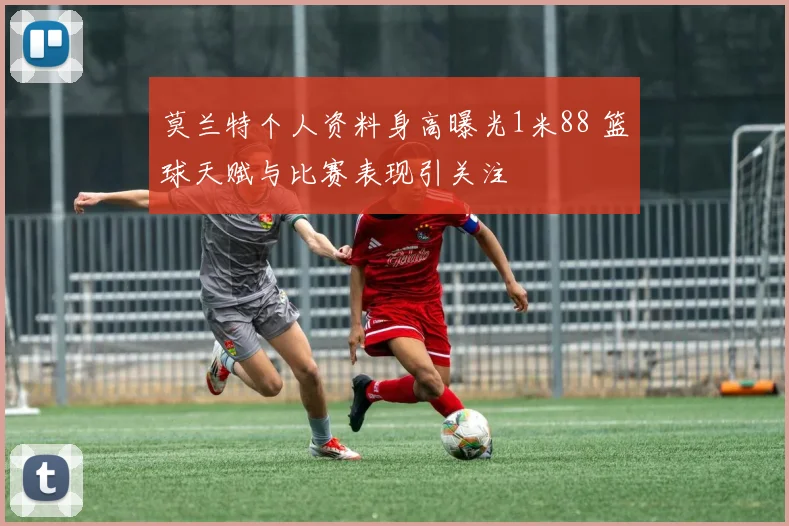莫兰特个人资料身高曝光1米88 篮球天赋与比赛表现引关注
