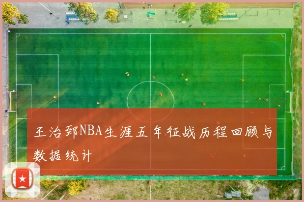 王治郅NBA生涯五年征战历程回顾与数据统计